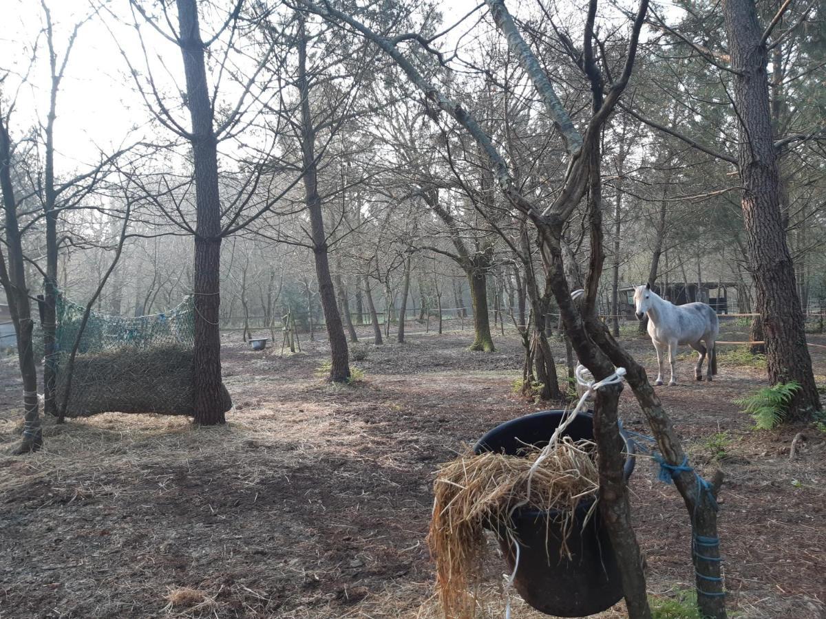 Domaine De L'Escuderia 호텔 파렝티스 앙 보른 외부 사진